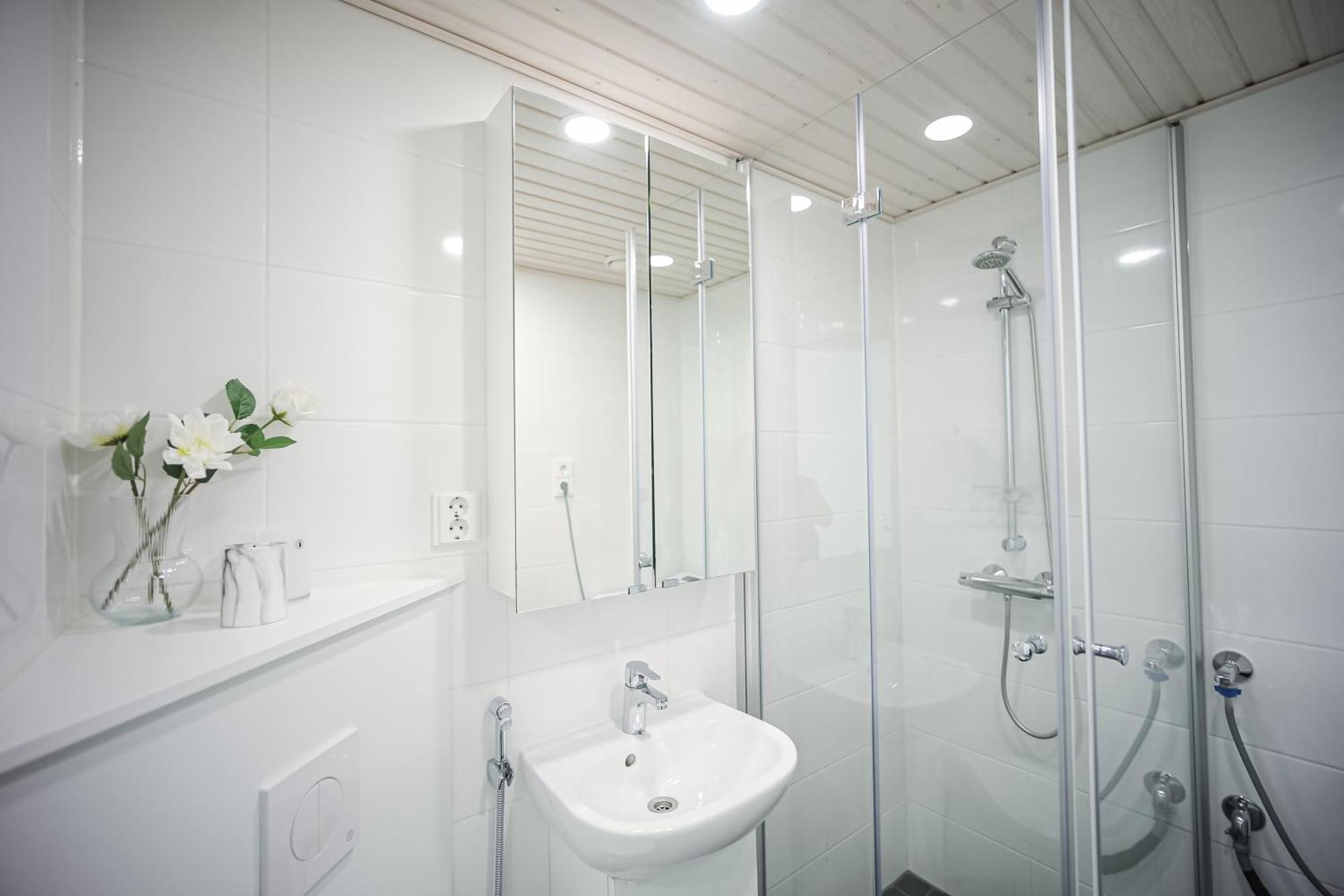 Apartment Hostit Arctic *